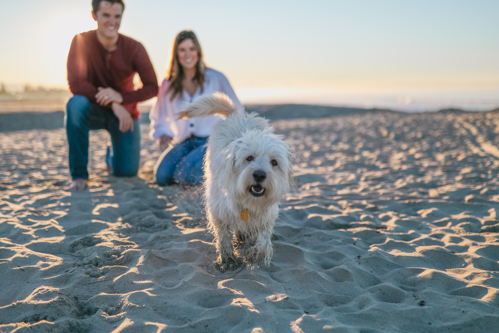 Rachel Christopherson Photos Coronado San Diego Engagement Dog Beach