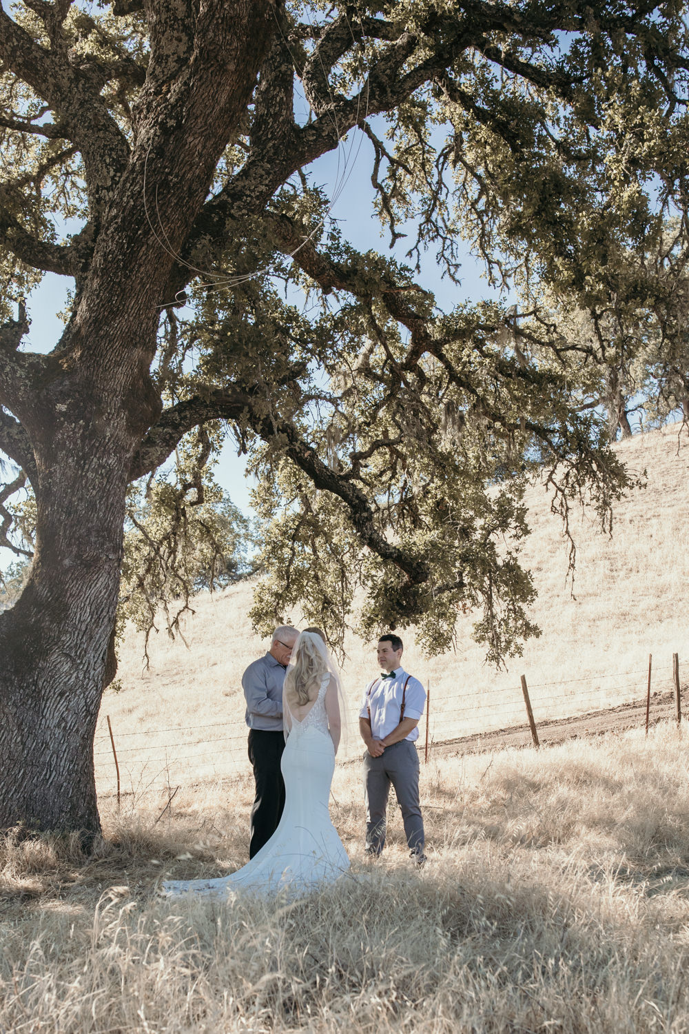 Sonoma micro wedding / winery micro wedding / Sonoma elopement / Sonoma intimate wedding / Sonoma California micro wedding / villa estate wedding / how to have a micro wedding / tips for planning a micro wedding / best places to have a micro wedding in Northern California / Rachel Christopherson Photography  / oak tree wedding ceremony / intimate wedding ceremony / micro wedding ceremony under oak tree 