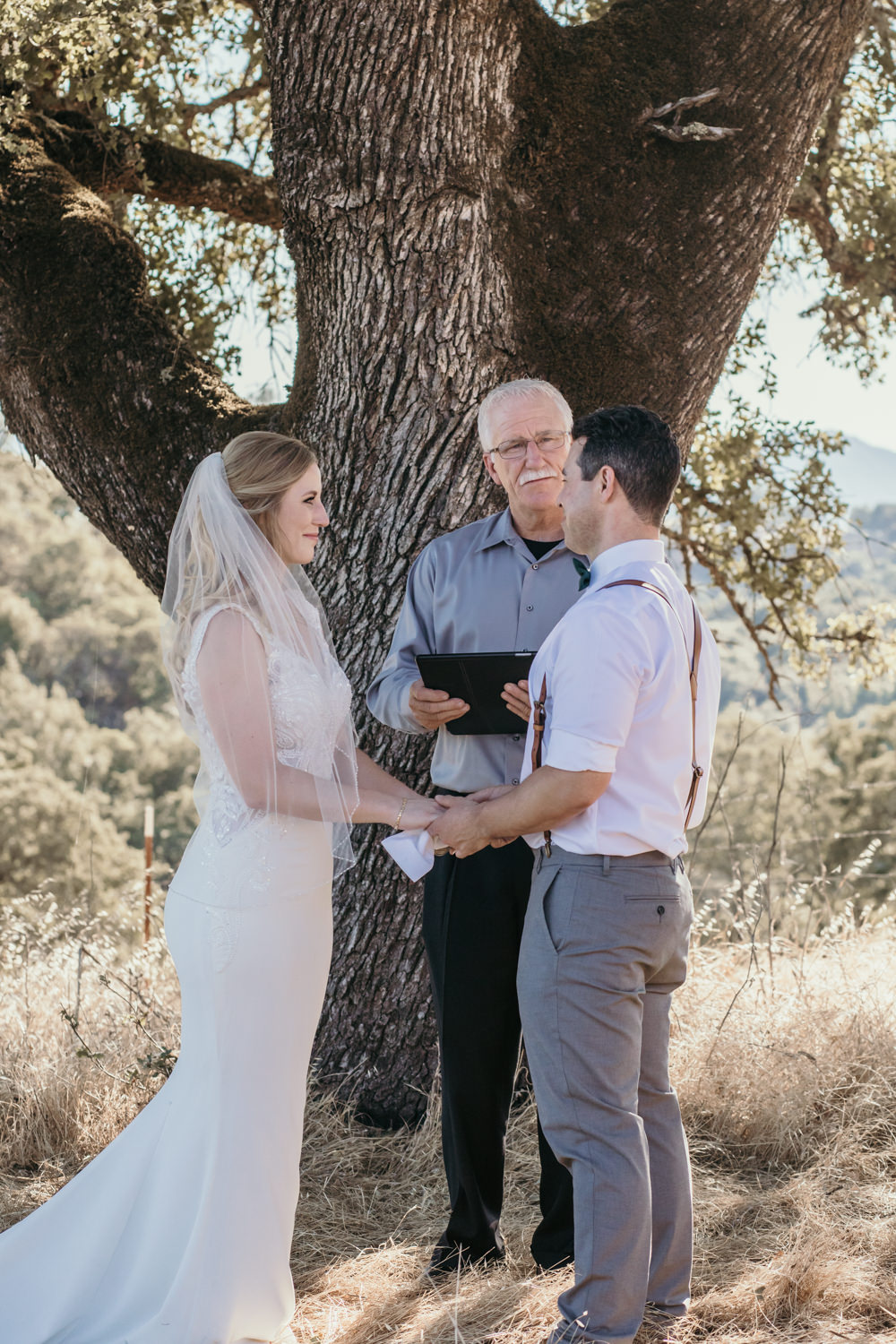 Sonoma micro wedding / winery micro wedding / Sonoma elopement / Sonoma intimate wedding / Sonoma California micro wedding / villa estate wedding / how to have a micro wedding / tips for planning a micro wedding / best places to have a micro wedding in Northern California / Rachel Christopherson Photography  / oak tree wedding ceremony / intimate wedding ceremony / micro wedding ceremony under oak tree 
