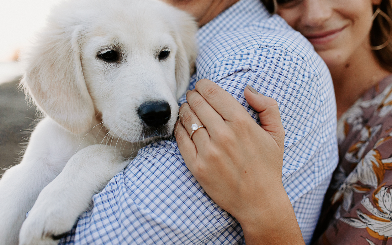 Sacramento engagement photos / sacramento engagement session / sacramento fall engagement photos / best sacramento engagement photo locations / sacramento engagement session locations / sacramento field photos / sacramento engagement photographer / sacramento wedding photographer / sacramento field engagements photos / sacramento golden field engagement photos / where to take engagement photos in sacramento / sacramento engagement photo inspo / folsom engagement session / folsom field engagement session / engagement photo outfit inspo / engagement outfit inspo / what to wear for your engagement session / rachel christopherson photography / engagement photos with puppy / puppy engagement photos / engagement session with dog / engagement photo with dogs