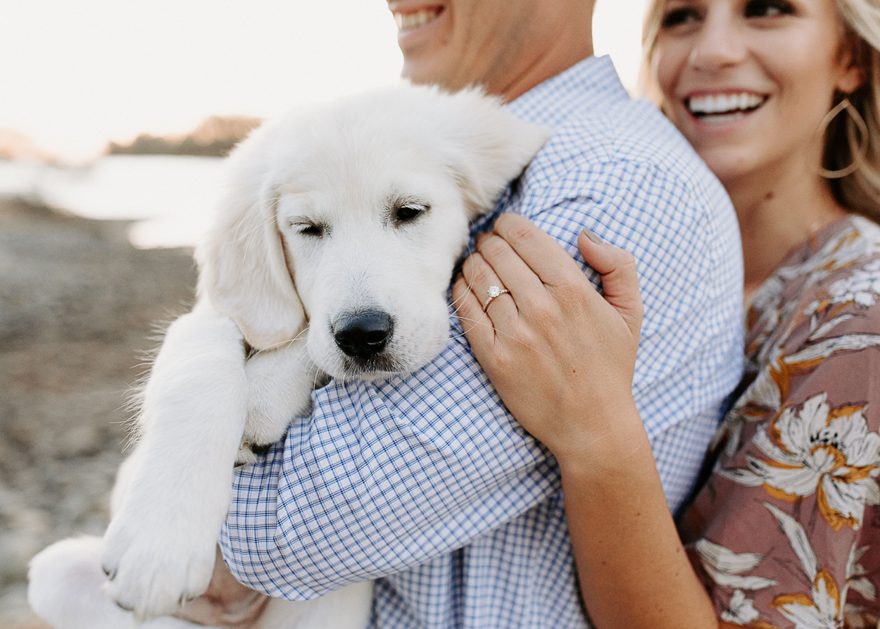 Sacramento engagement photos / sacramento engagement session / sacramento fall engagement photos / best sacramento engagement photo locations / sacramento engagement session locations / sacramento field photos / sacramento engagement photographer / sacramento wedding photographer / sacramento field engagements photos / sacramento golden field engagement photos / where to take engagement photos in sacramento / sacramento engagement photo inspo / folsom engagement session / folsom field engagement session / engagement photo outfit inspo / engagement outfit inspo / what to wear for your engagement session / rachel christopherson photography / engagement photos with puppy / puppy engagement photos / engagement session with dog / engagement photo with dogs