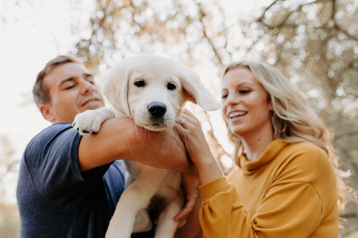 Sacramento engagement photos / sacramento engagement session / sacramento fall engagement photos / best sacramento engagement photo locations / sacramento engagement session locations / sacramento engagement photographer / sacramento wedding photographer / where to take engagement photos in sacramento / sacramento engagement photo inspo / folsom engagement session / engagement photo outfit inspo / engagement outfit inspo / what to wear for your engagement session / rachel christopherson photography / engagement photos with puppy / puppy engagement photos / engagement session with dog / engagement photo with dogs