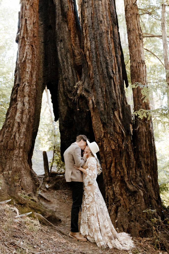 California Redwoods wedding, Santa cruz wedding, santa cruz elopement, santa cruz wedding photographer, big sur elopement, big sur wedding, boho bride, california boho elopement, boho wedding dress, best places to elope in California, California elopement, California forest elopement, boho bride inspo, santa cruz wedding photographer, big sur wedding photographer, Rachel Christopherson Photography