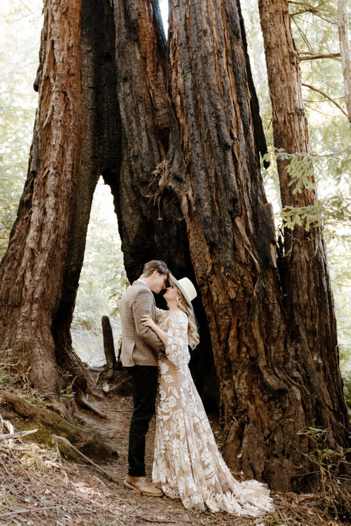 California Redwoods wedding, Santa cruz wedding, santa cruz elopement, santa cruz wedding photographer, big sur elopement, big sur wedding, boho bride, california boho elopement, boho wedding dress, best places to elope in California, California elopement, California forest elopement, boho bride inspo, santa cruz wedding photographer, big sur wedding photographer, Rachel Christopherson Photography