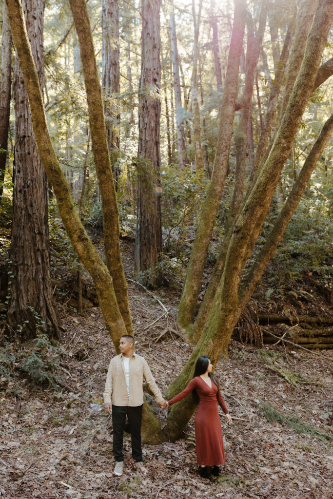 Rachel Christopherson Wedding & Elopement Photography, santa cruz wedding photographer, Santa cruz engagement, santa cruz elopement big sur engagement photos, california coastal engagement, california forest engagement, best places for engagement photos in northern california, northern california engagement photos, california forest engagement photos