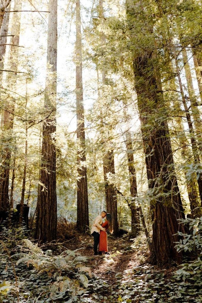 Rachel Christopherson Wedding & Elopement Photography, santa cruz wedding photographer, Santa cruz engagement, santa cruz elopement big sur engagement photos, california coastal engagement, california forest engagement, best places for engagement photos in northern california, northern california engagement photos, california forest engagement photos