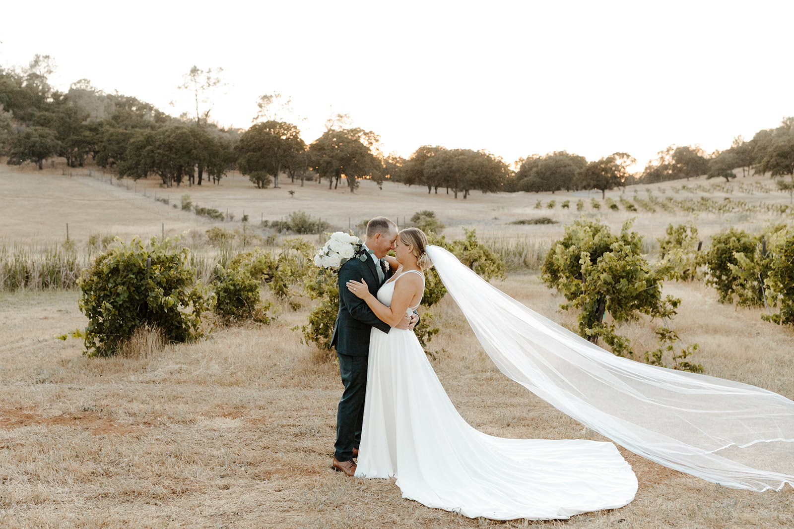 Sacramento wedding, sacramento wedding photographer, river highlands ranch, river highlands ranch wedding, barn wedding sacramento, rustic wedding venue sacramento, best places to get married in sacramento, vineyard wedding sacramento, sacramento winery wedding, northern california barn wedding venues, rachel christopherson photography, blue bridesmaids dresses, bride and groom vineyard photos, wedding sunset photos, wedding veil