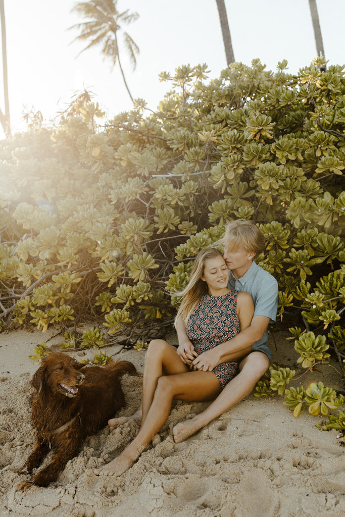 Rachel Christopherson Photography-Oahu Engagement Photos--Hawaii  Photographer-Engagement Photography-Beach Engagement Photos-Sacramento-Lake Tahoe-Monterey-Carmel-Santa Cruz -Big Sur-Yosemite-Mendocino-California-Northern California-Hawaii-Dog Friendly Beach-Sun Flare