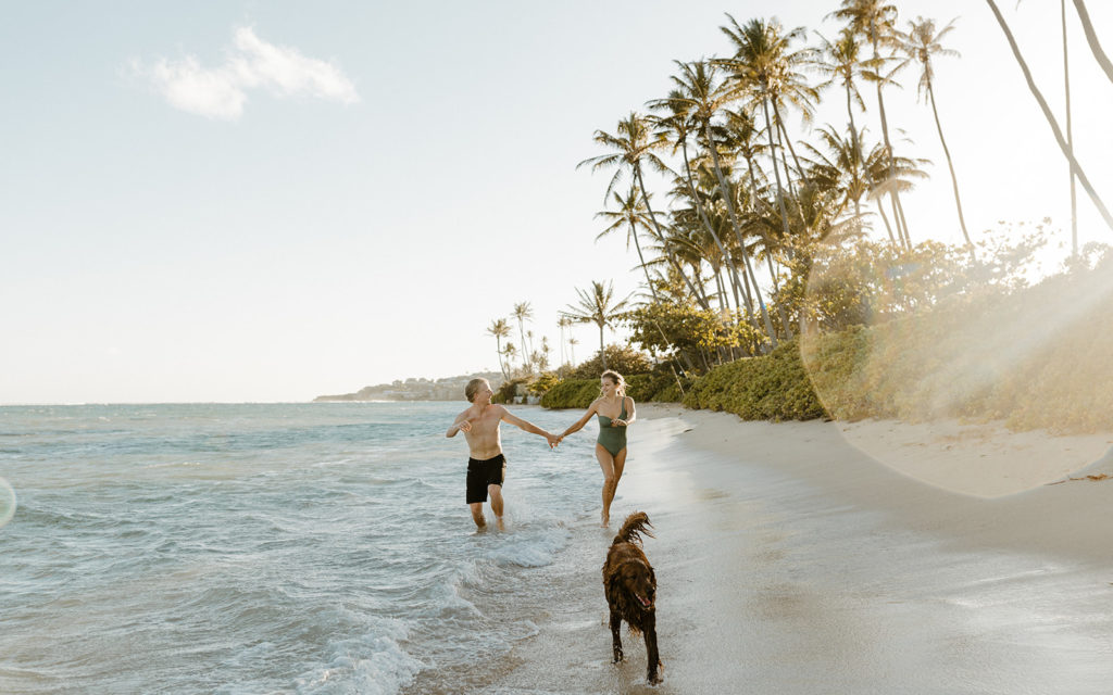 Rachel Christopherson Photography-Oahu Engagement Photos--Hawaii  Photographer-Engagement Photography-Beach Engagement Photos-Sacramento-Lake Tahoe-Monterey-Carmel-Santa Cruz -Big Sur-Yosemite-Mendocino-California-Northern California-Hawaii-Dog Friendly Beach