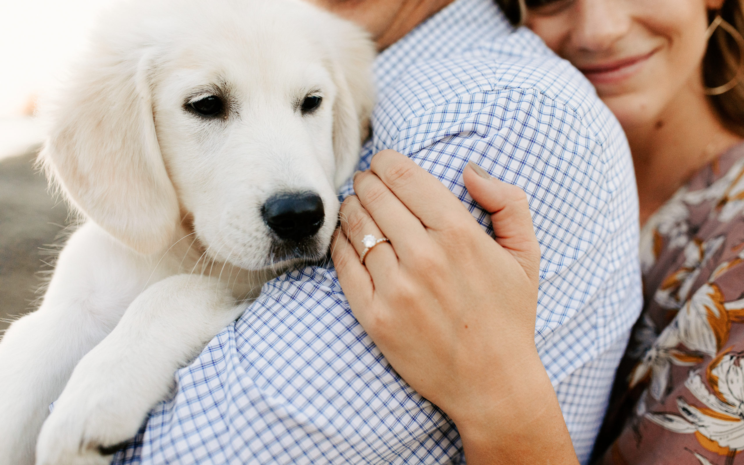 rachelchristophersonphotography-dogs in engagement photos-dog engagement photos-puppy engagement photos-engagement photos with dogs-engaged couples-engagement session-engagement photos-sacramento-lake tahoe-monterey-carmel-santa cruz-big sur-yosemite-mendocino-engagement photos-engagement photographer-engagement photography
