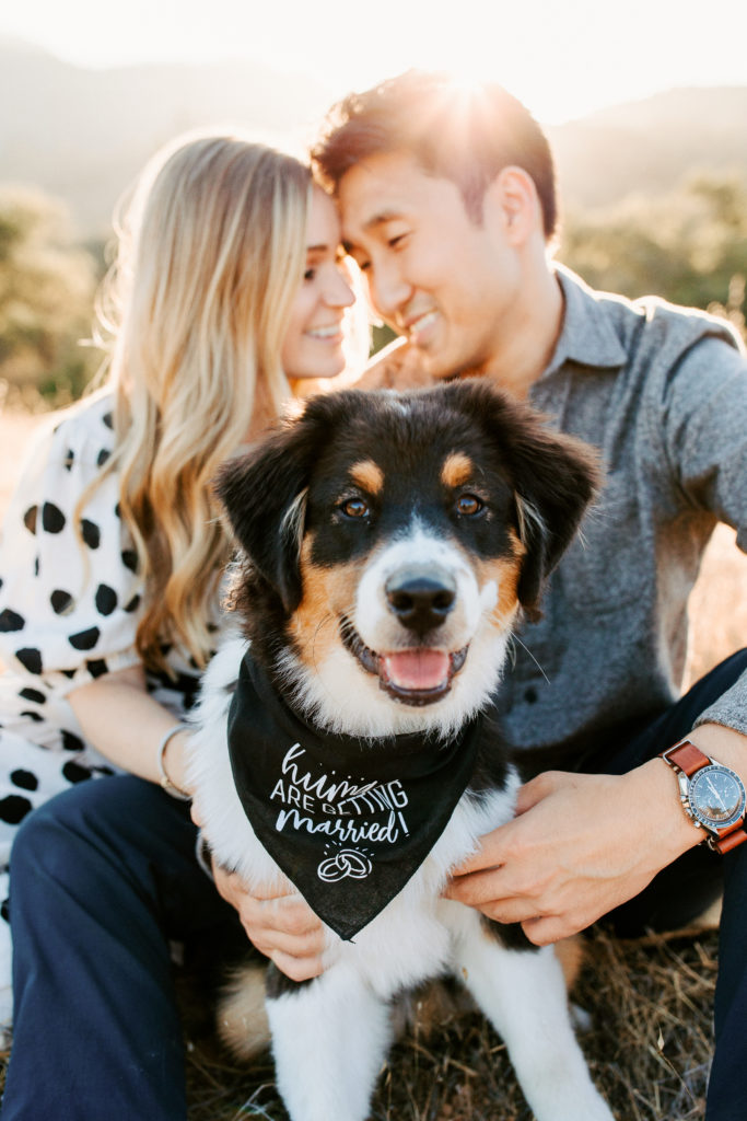 rachelchristophersonphotography-dogs in engagement photos-dog engagement photos-puppy engagement photos-engagement photos with dogs-engaged couples-engagement session-engagement photos-sacramento-lake tahoe-monterey-carmel-santa cruz-big sur-yosemite-mendocino-engagement photos-engagement photographer-engagement photography