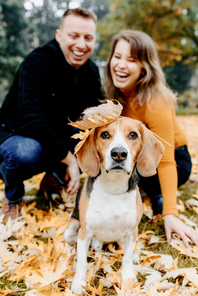 rachelchristophersonphotography-dogs in engagement photos-dog engagement photos-puppy engagement photos-engagement photos with dogs-engaged couples-engagement session-engagement photos-sacramento-lake tahoe-monterey-carmel-santa cruz-big sur-yosemite-mendocino-engagement photos-engagement photographer-engagement photography