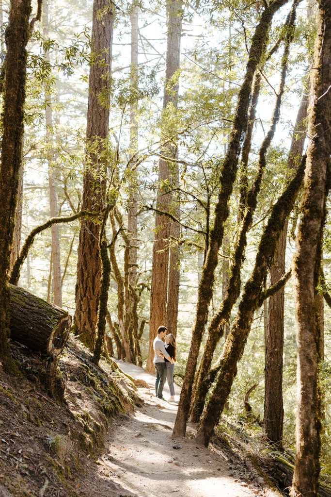 Rachel Christopherson Photography-Engagement Photographer-Mt. Tam engagement photos-muir woods engagement photos-bay area engagement photos-San francisco engagement-nor cal engagement-what to wear for engagement-Golden Hour-Sun Flares