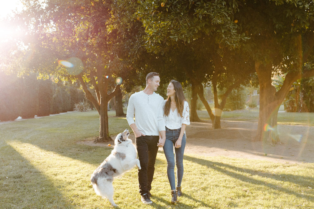 rachel christopherson photos - what to where to engagement photos - engagement photo outfits - dog in engagement photos - engagement photos with dog - sacramento capitol park engagement photos - sacramento engagement photos - city engagement photos - park engagement photos - sacramento engagement photographer