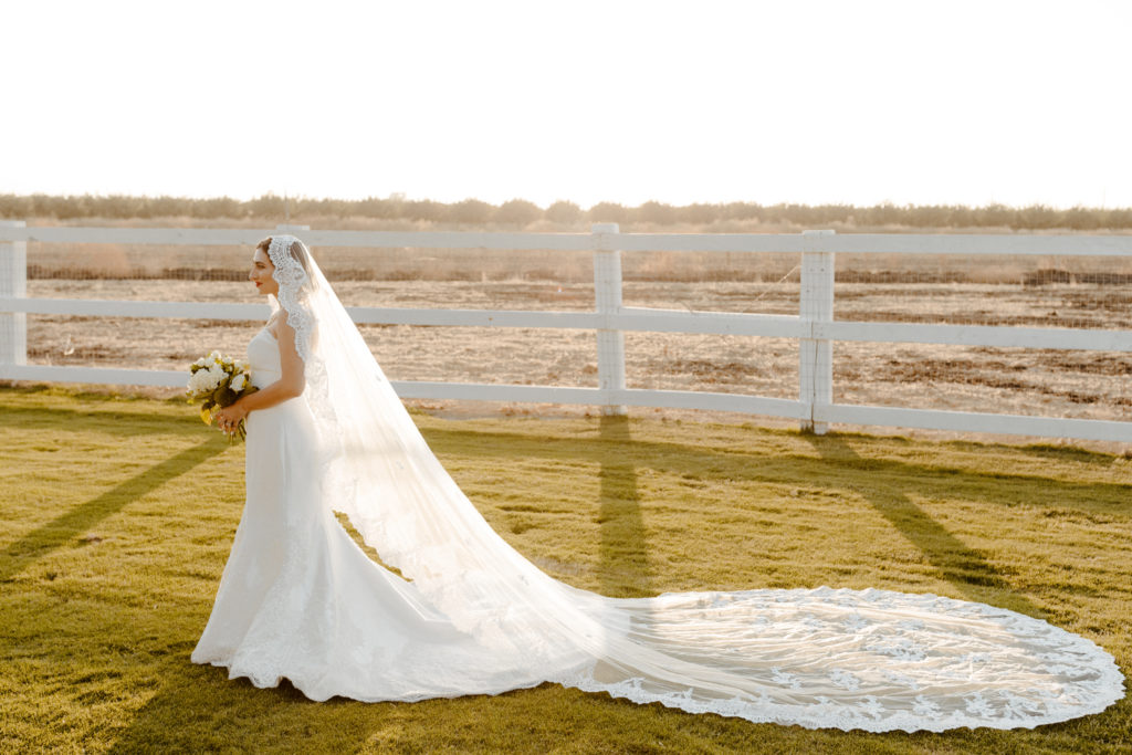 rachelchristophersonphotography-northern califorrnia wedding-traditional wedding-nor cal wedding-traditional ceremony-northern california wedding photographer-sacramento wedding-sacramento wedding photographer-ranch wedding-golden hour-lacey wedding dress-beige grooms suit-long train veil-bridal veil