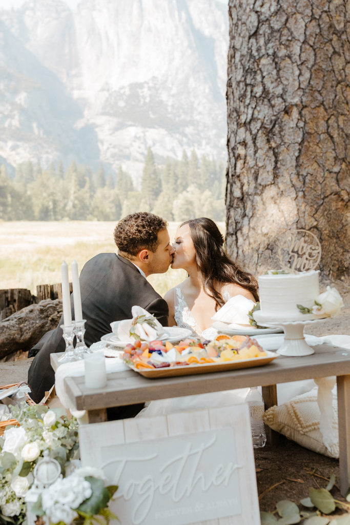 rachelchristophersonphotos-swinging bridge-yosemite elopement-yosemite elopement-swinging bridge elopement-mountain top elopement-northern california elopement-bride and groom-slick black suit-lacey floral wedding gown-sweetheart table-wedding picnic-elopement picnic