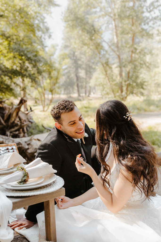 rachelchristophersonphotos-swinging bridge-yosemite elopement-yosemite elopement-swinging bridge elopement-mountain top elopement-northern california elopement-bride and groom-slick black suit-lacey floral wedding gown-sweetheart table-wedding picnic-elopement picnic