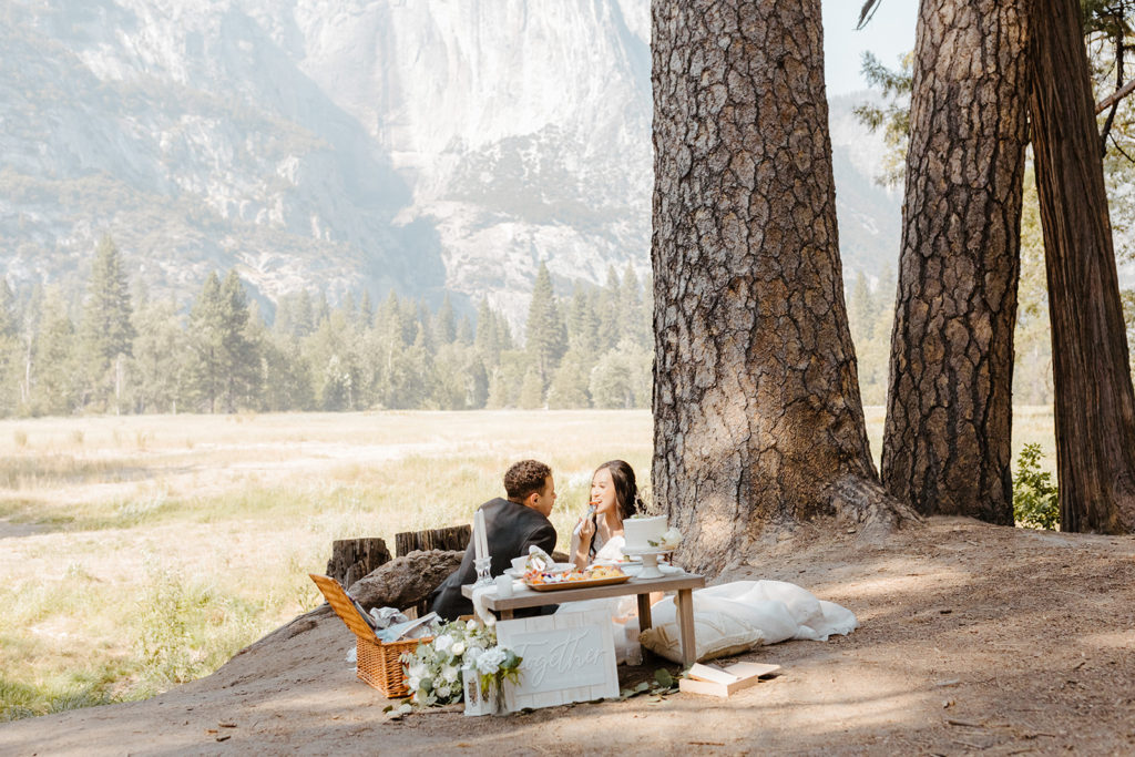 rachelchristophersonphotos-swinging bridge-yosemite elopement-yosemite elopement-swinging bridge elopement-mountain top elopement-northern california elopement-bride and groom-slick black suit-lacey floral wedding gown-sweetheart table-wedding picnic-elopement picnic