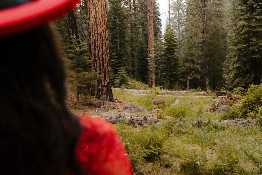 rachelchristophersonphotos-glacier point yosemite elopement-yosemite elopement-glacier point elopement-mountain top elopement-northern california elopement-bride and groom-slick black suit-traditional vietnamese wedding dress
