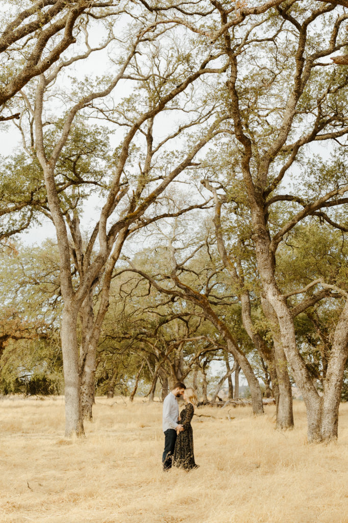 Rachel Christopherson Photography - Sacramento maternity photographer, sacramento wedding photographer, sacramento, maternity photos, maternity shoot, pregnancy announcement, wedding photography, couples photos, lake tahoe wedding photographer, Monterey wedding photography, Carmel wedding photography, Santa Cruz wedding photographer, Big Sur wedding photographer, Yosemite wedding photography, Mendocino wedding photographer