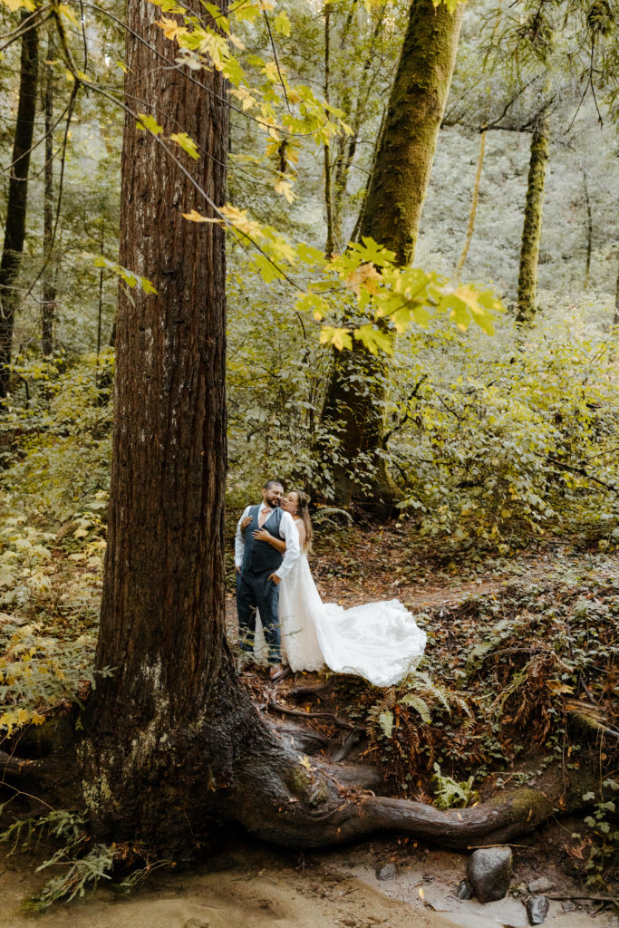 Rachel Christopherson Photography - Santa cruz wedding photos, Santa Cruz wedding photographer, Santa Cruz wedding photography, Santa Cruz elopement, Santa Cruz elopement photographer, santa cruz elopement photography, California redwoods, California redwoods elopement, California redwoods wedding, northern california, northern california elopement, northern california wedding, santa cruz bridal photos, santa cruz bridal photographer, santa cruz bridal photography, Sacramento wedding photographer, Sacramento wedding photography, Sacramento wedding photos, Sacramento elopement photographer, Sacramento elopement photography, Sacramento elopement photos, hawaii wedding photographer, hawaii wedding photography, hawaii wedding photos, hawaii elopement photographer, hawaii elopement photography, hawaii elopement photos