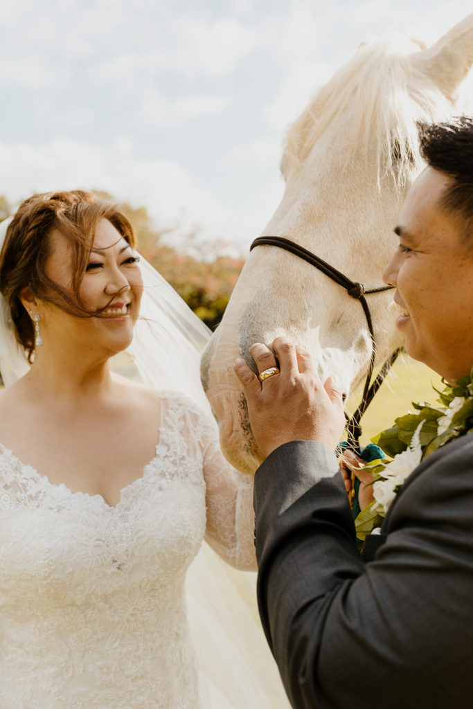 Rachel Christopherson Photography - North Shore Oahu wedding at Sunset Ranch, bride and groom photos