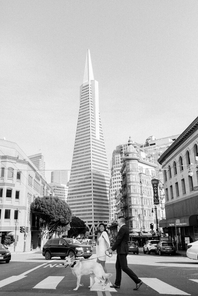 Rachel C Photography - bride and groom walking dog in san francisco