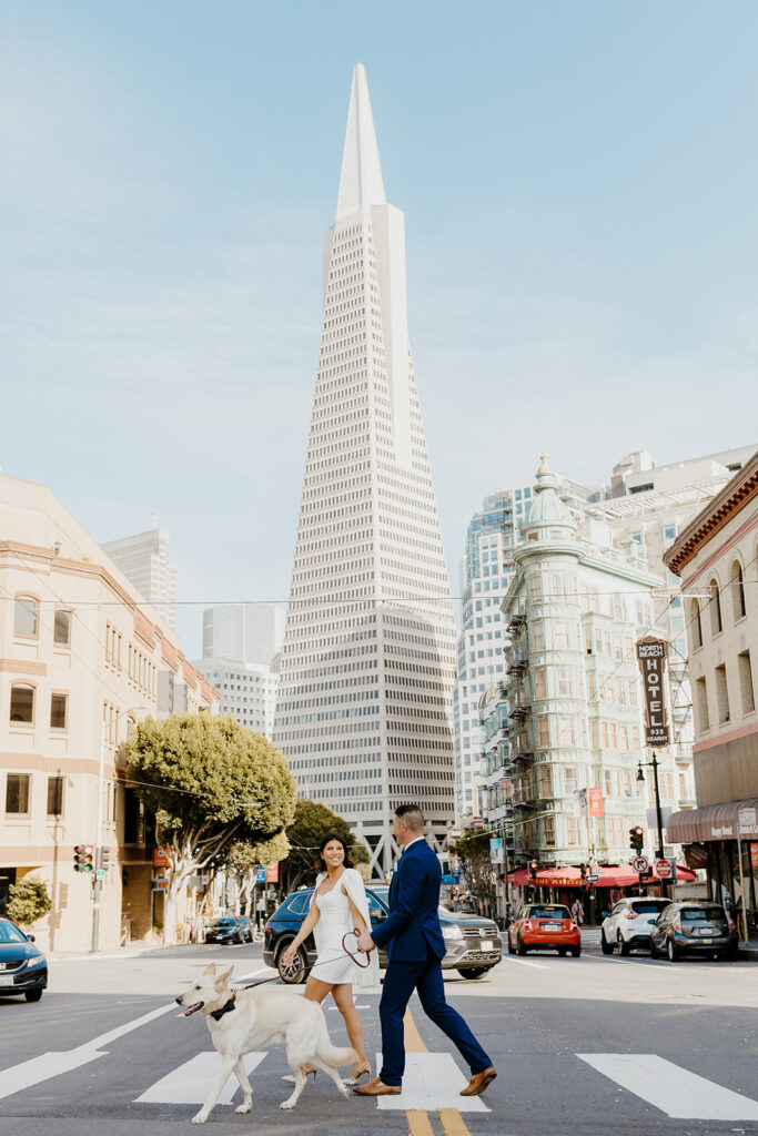 Rachel C Photography - Bride and groom walking dog in san francisco