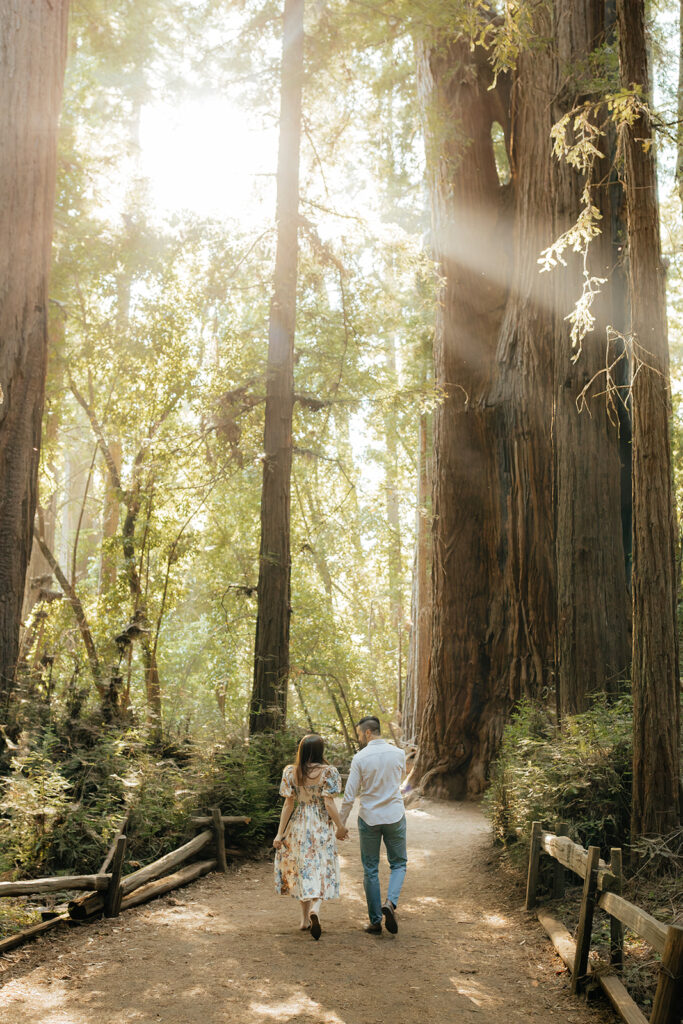 Couple posing during Santa Cruz Redwoods engagement session
