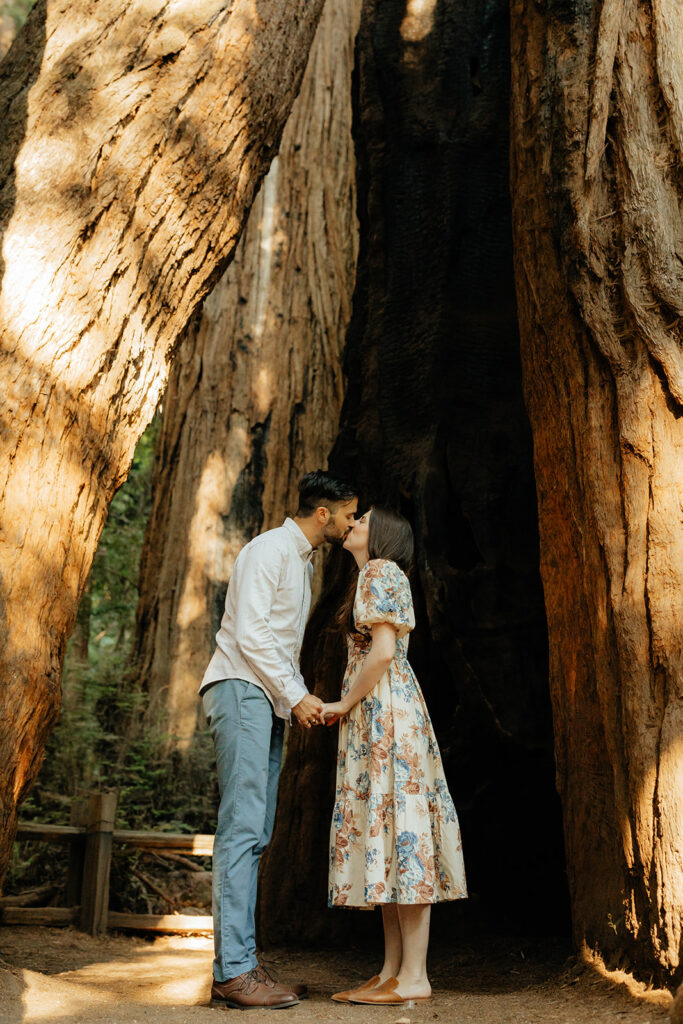 Couple posing during Santa Cruz Redwoods engagement session