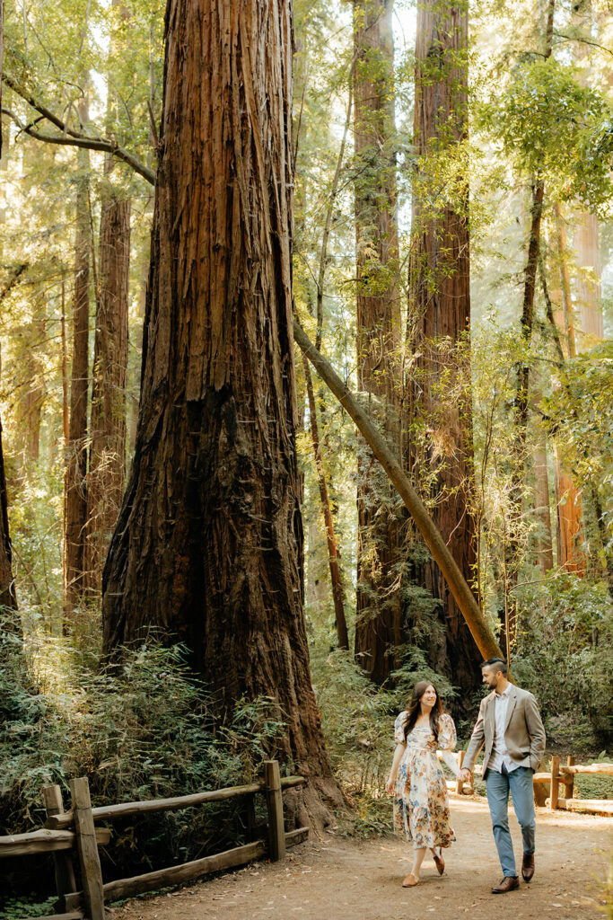 Couple posing during Santa Cruz Redwoods engagement session