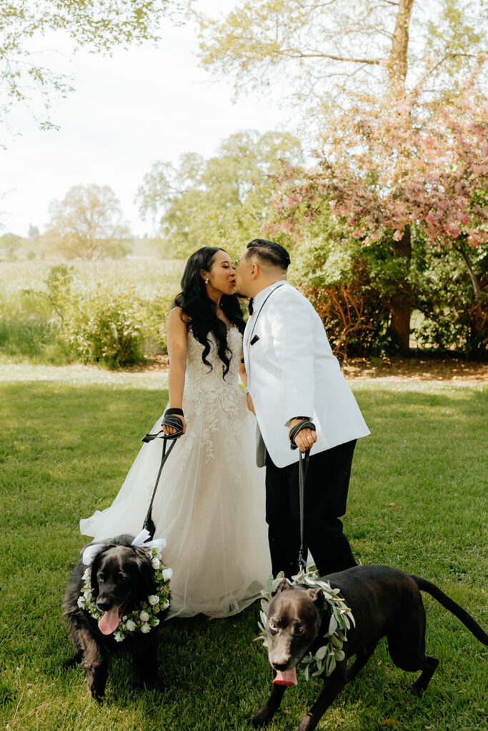 Bride and groom portraits from Sacramento wedding at Le Reve Estate