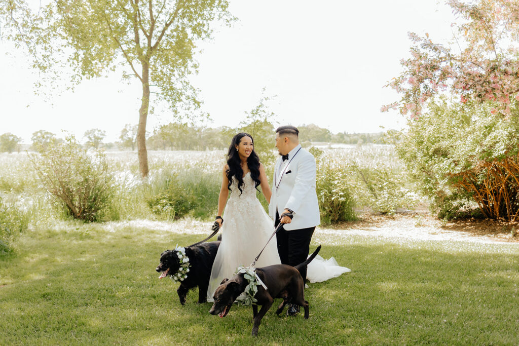 Bride and groom portraits from Sacramento wedding at Le Reve Estate