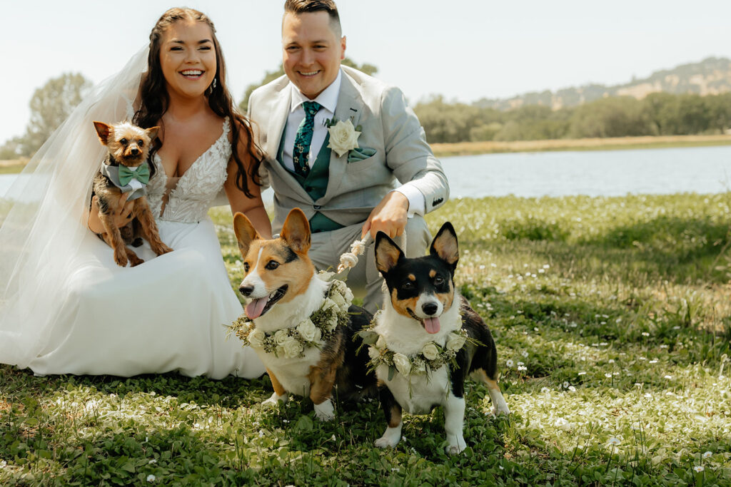 Bride and groom photos from Saureel Vineyards wedding in Placerville, California