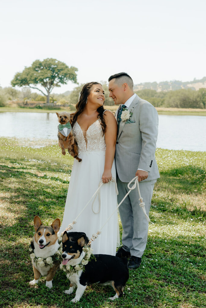 Bride and groom portraits with their dogs during their Saureel Vineyards wedding in California