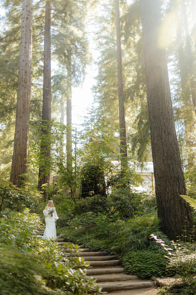 A redwood wedding ceremony at Nestldown wedding venue