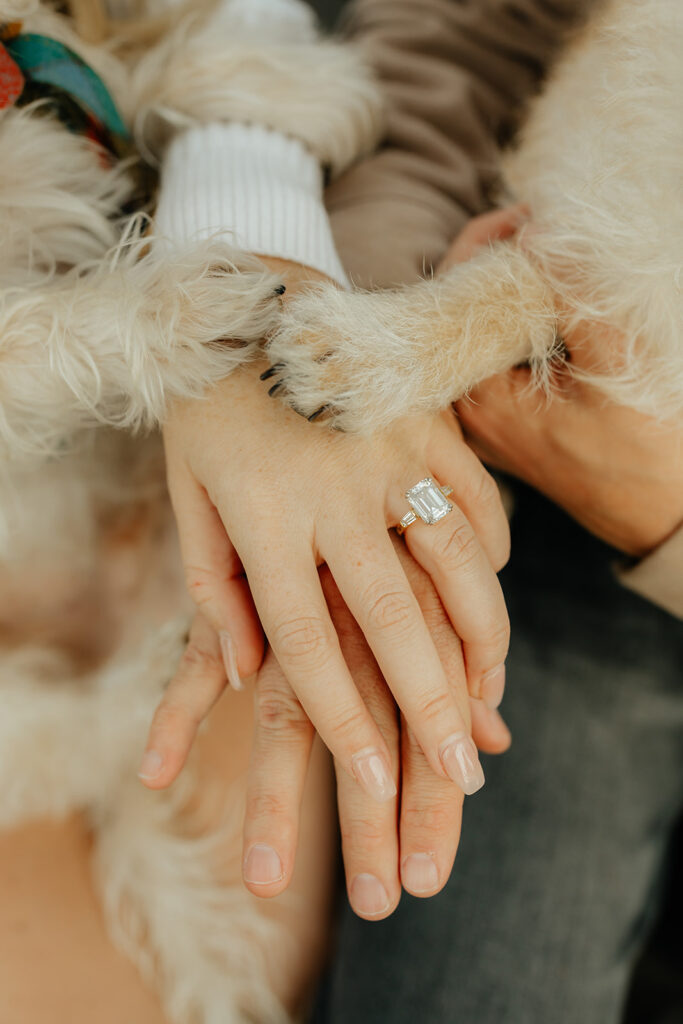 Couples Sacramento engagement photos at McKinley Park with their two dogs
