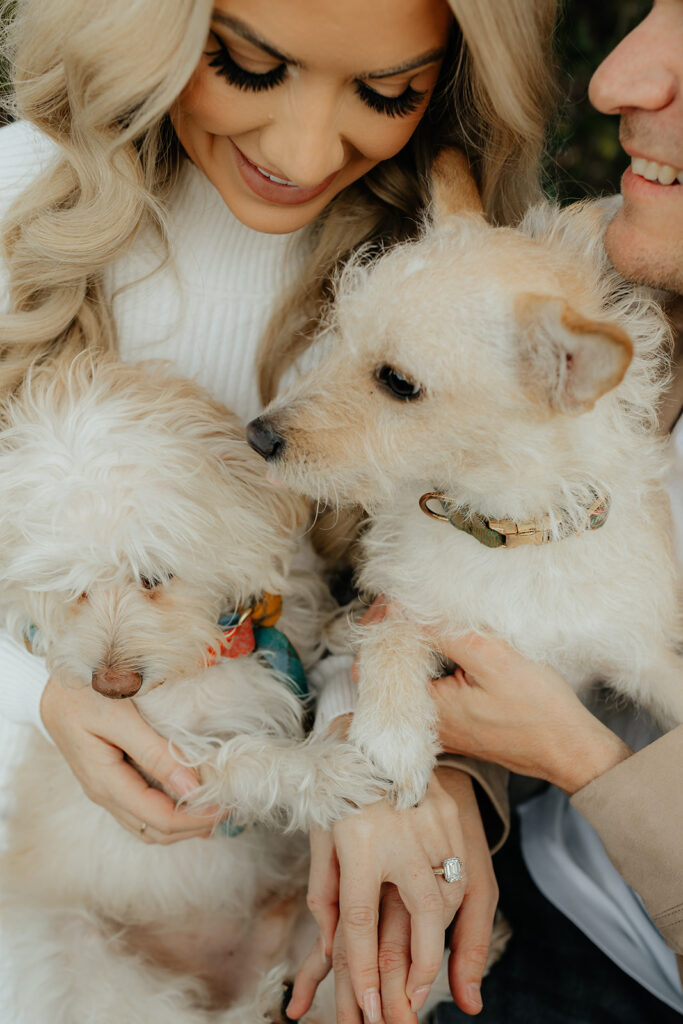 Couples Sacramento engagement photos at McKinley Park with their two dogs