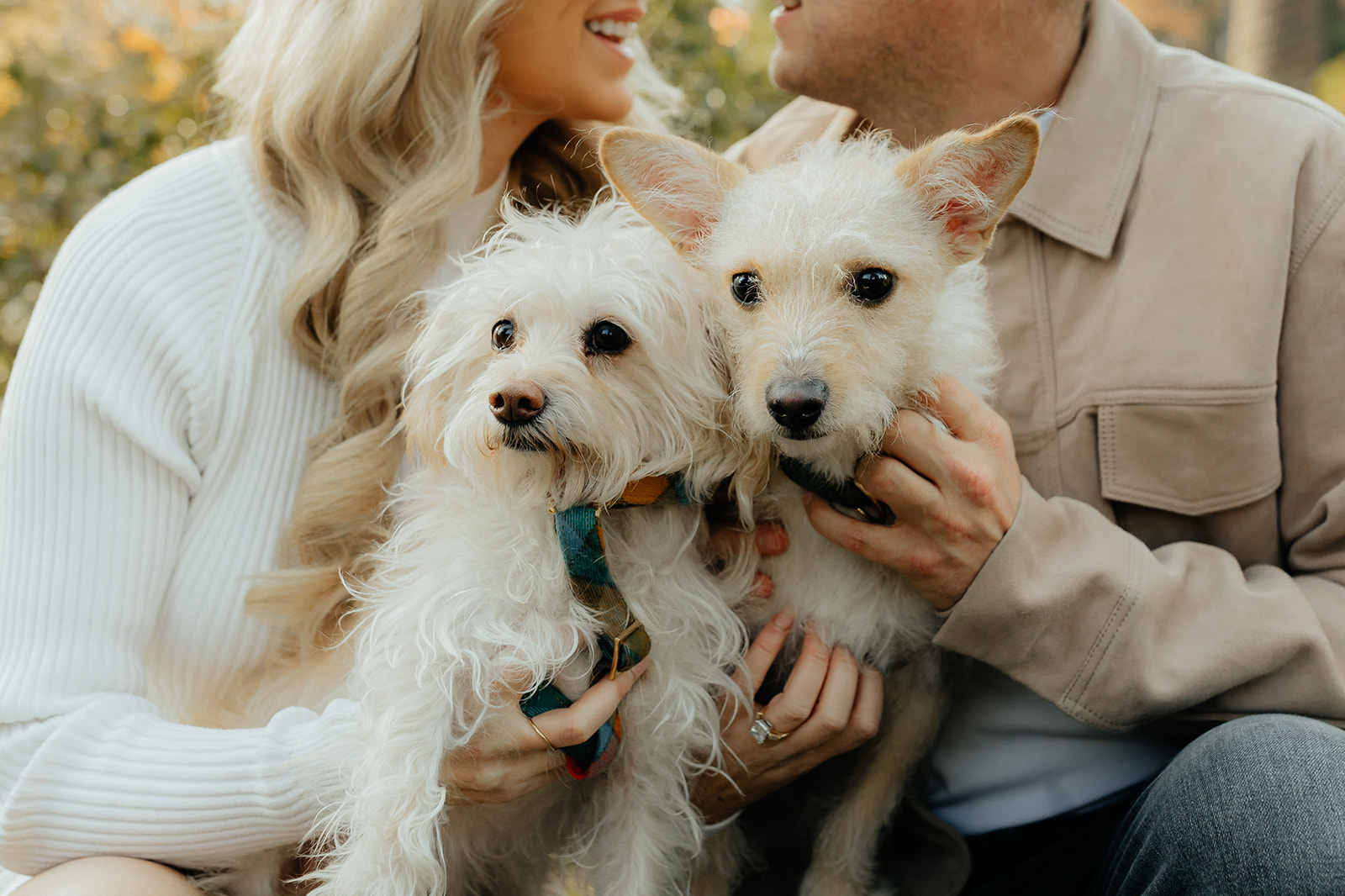 Couples Sacramento engagement photos at McKinley Park with their two dogs