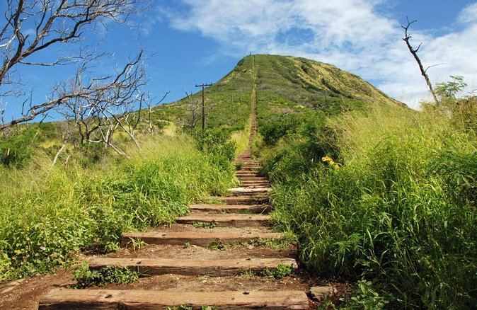 Kokohead hikes on oahu