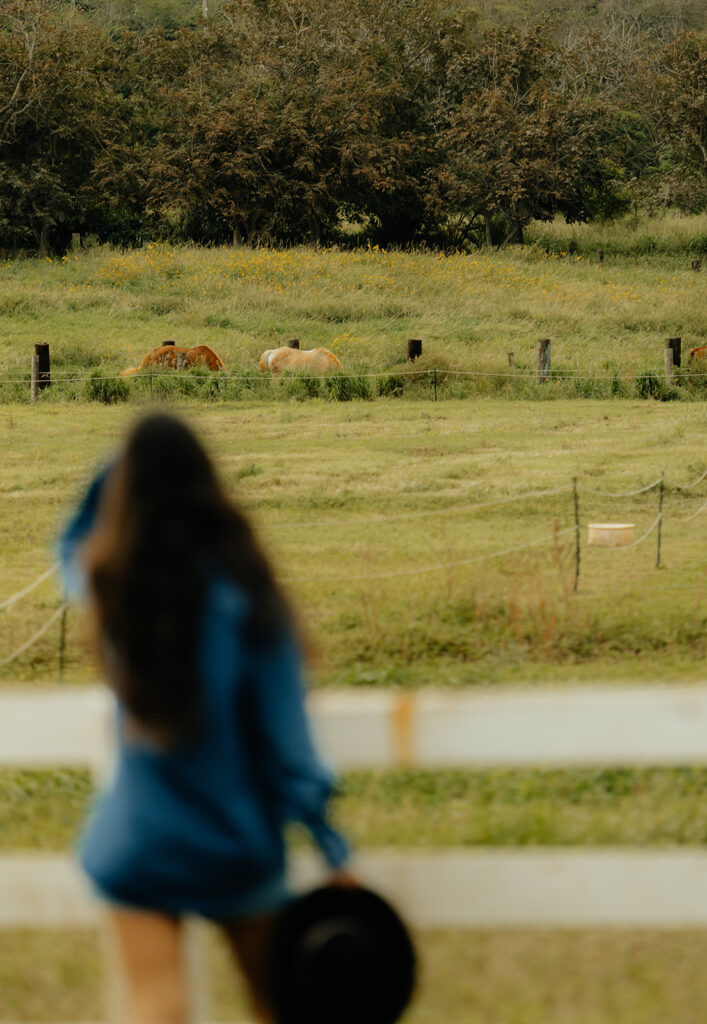 lifestyle photoshoot with horses in the background