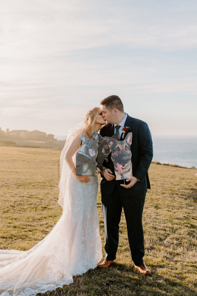 bride and groom with dogs, Mendocino elopement, mendocino wedding, christmas elopement, best places to elope in california, norcal elopement, northern california elopement, elopement inspo, california coast elopement, mendocino california elopement, Rachel Christopherson Photography 
