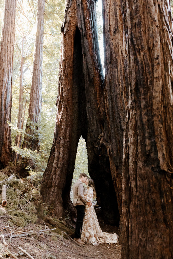 California Redwoods wedding, Santa cruz wedding, santa cruz elopement, santa cruz wedding photographer, big sur elopement, big sur wedding, boho bride, california boho elopement, boho wedding dress, best places to elope in California, California elopement, California forest elopement, boho bride inspo, santa cruz wedding photographer, big sur wedding photographer, Rachel Christopherson Photography