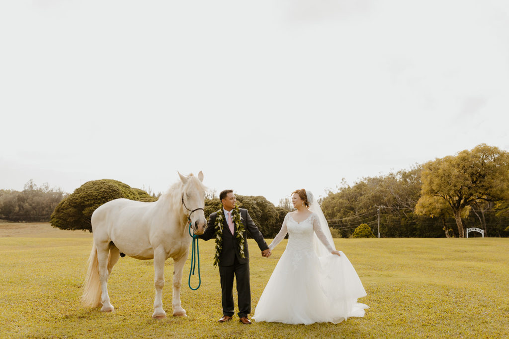 Rachel Christopherson Photography - North Shore Oahu wedding at Sunset Ranch, bride and groom holding hands posing with horse