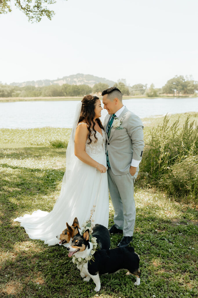 Bride and groom portraits with their dogs during their Saureel Vineyards wedding in California