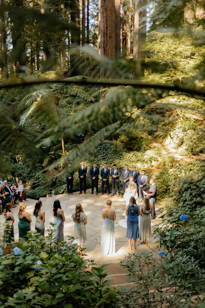 Redwood wedding ceremony at Nestldown