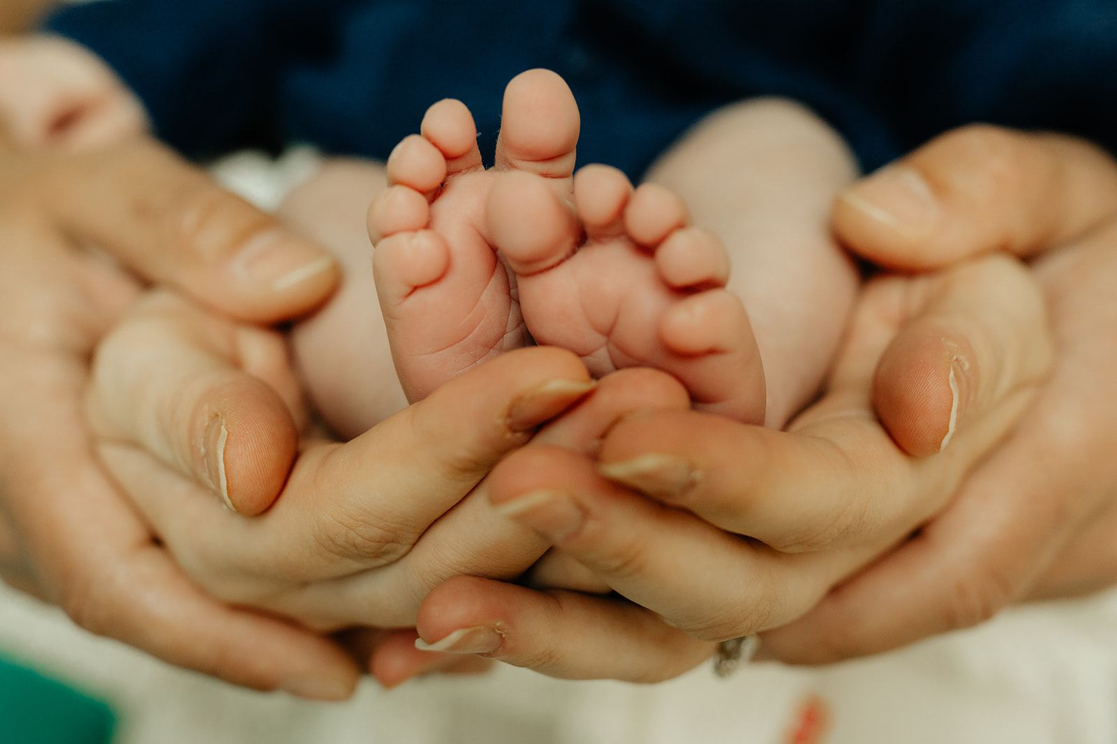 Parents holding babies feet