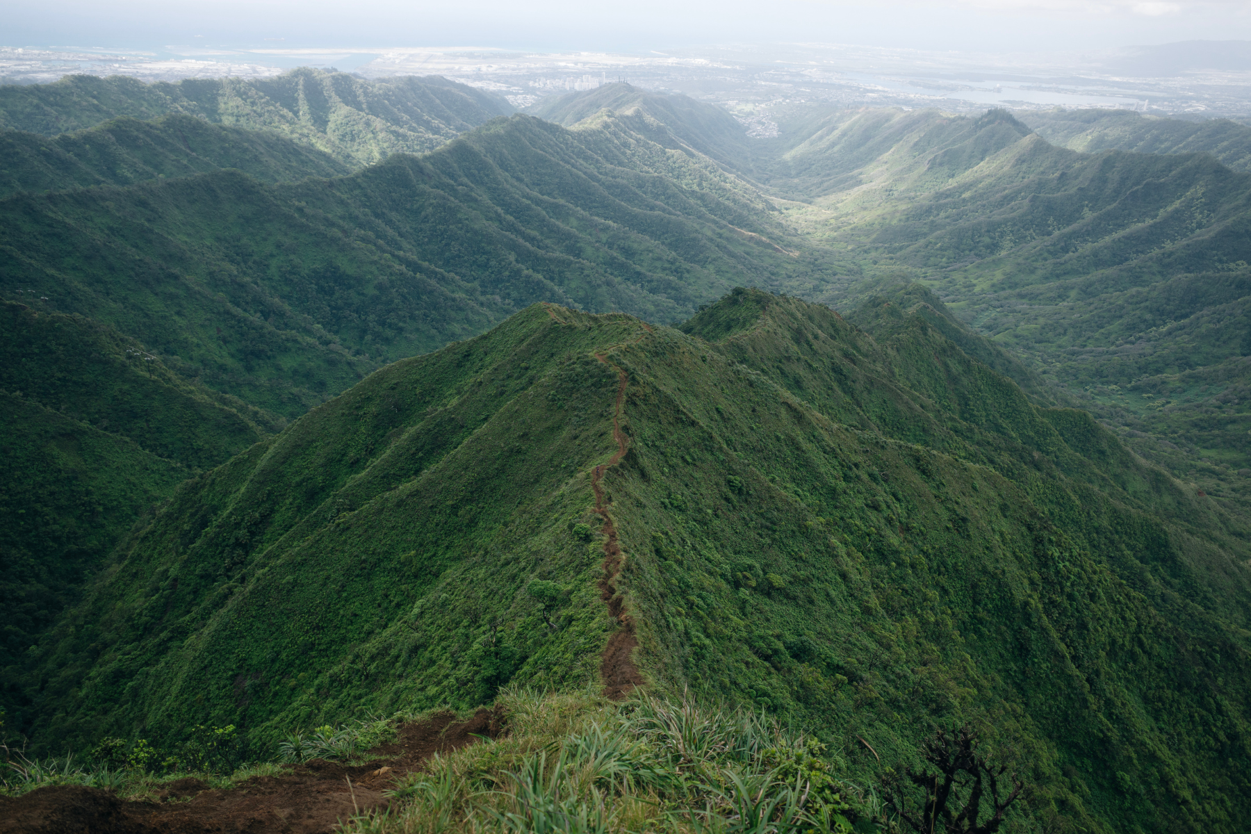 Moanalua Trail - Top 8 Hikes on Oahu For Epic Views