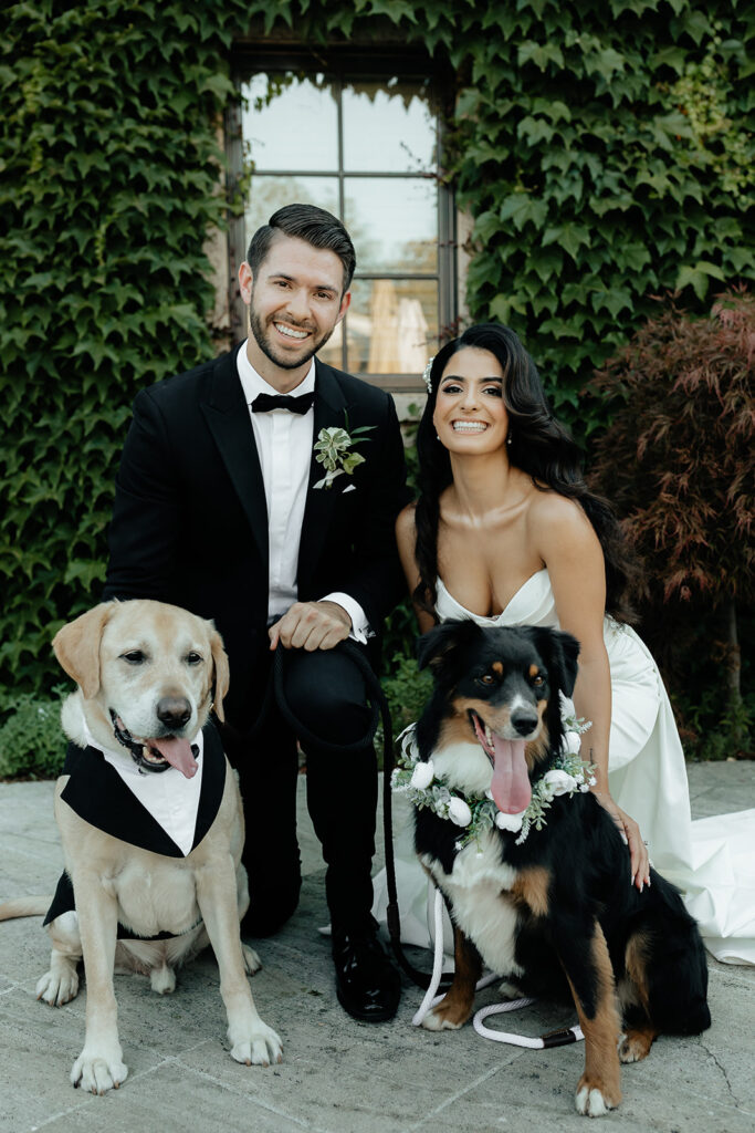 Clos LaChance Wedding - Bride and groom with their dogs